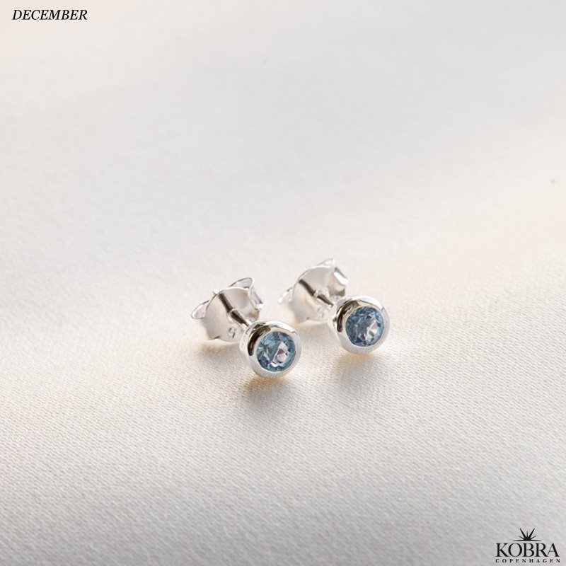 Birthstone silver earrings - find your month