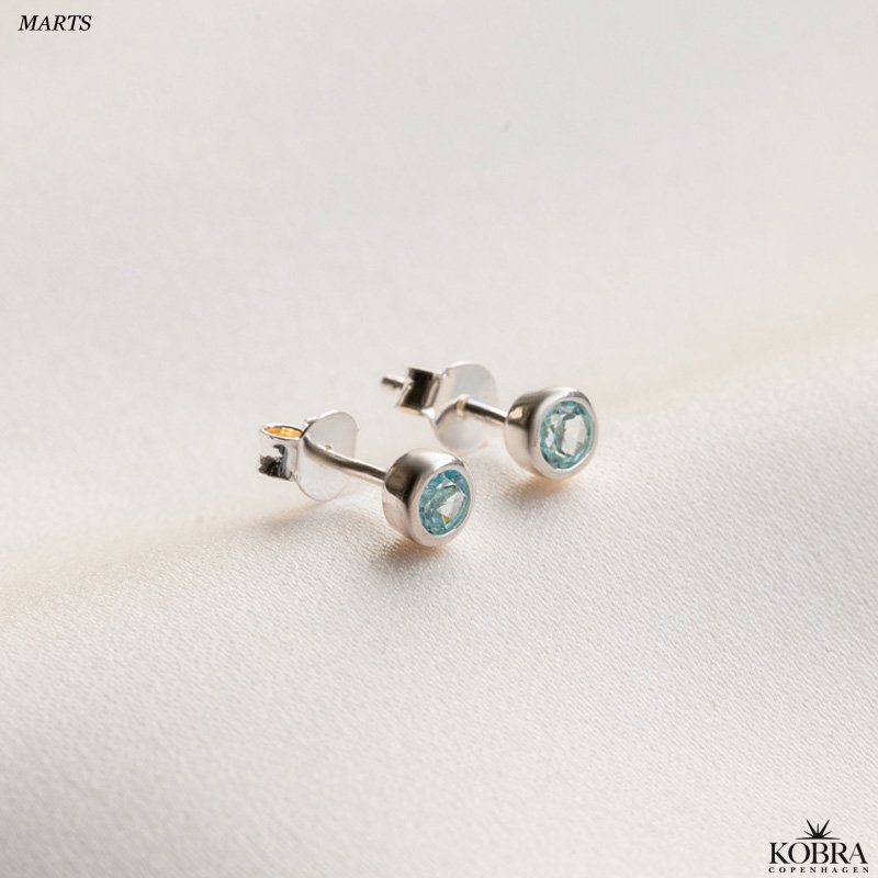 Birthstone silver earrings - find your month