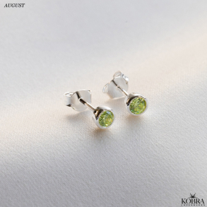 Birthstone silver earrings - find your month