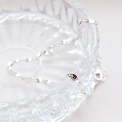 "Valli" twisted anklet in silver