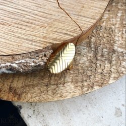 "Victory" hndlavet oval 18 karat forgyldt V ring