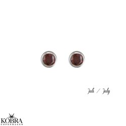 Birthstone silver earrings - find your month