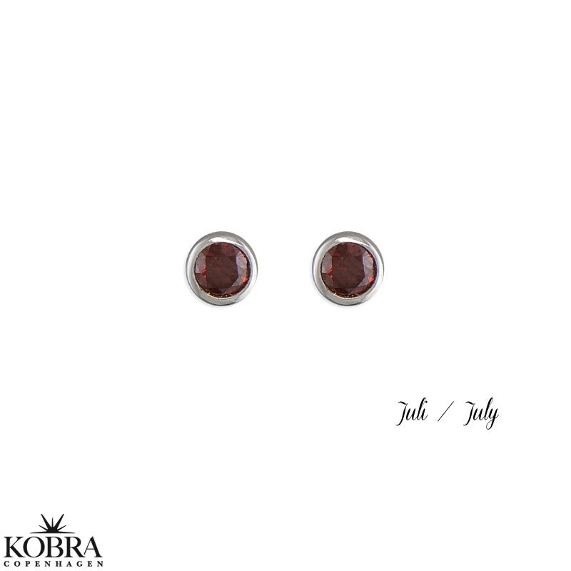 Birthstone silver earrings - find your month