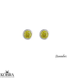 Birthstone silver earrings - find your month