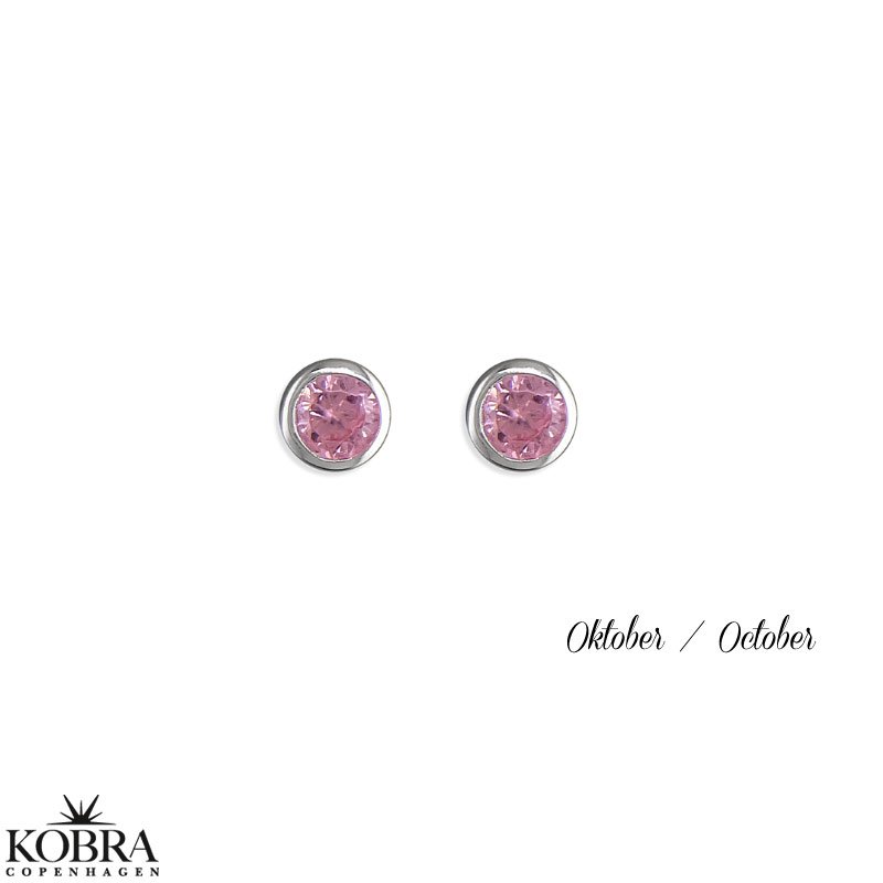 Birthstone silver earrings - find your month