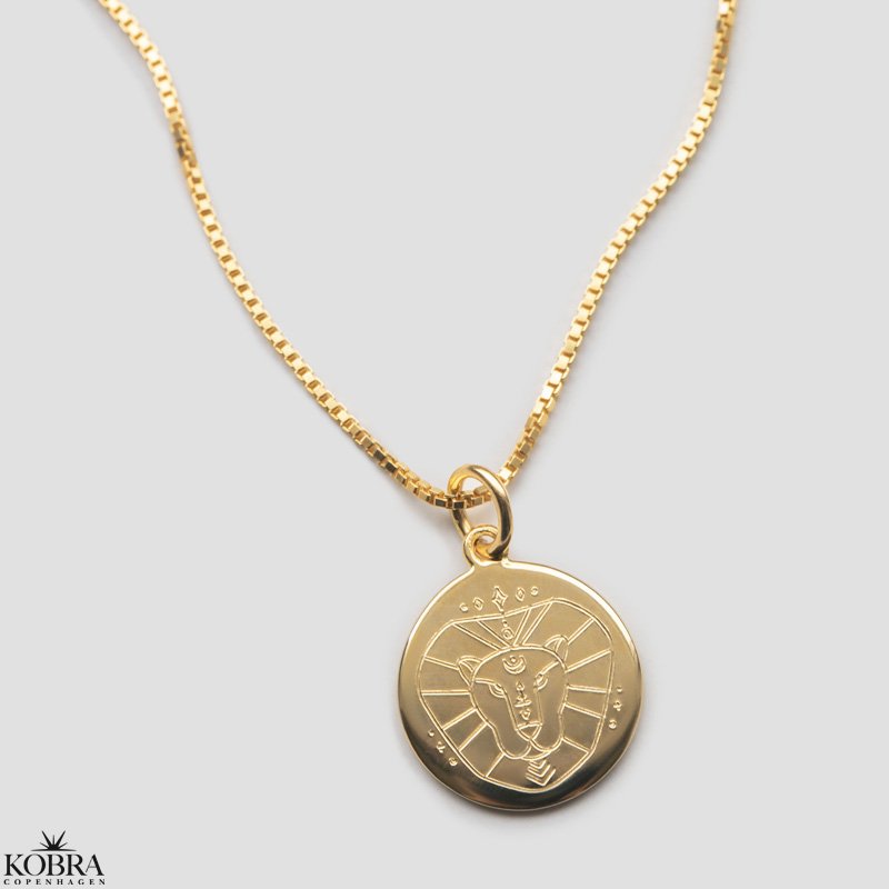 "Blazing star" zodiac necklace in 14 carat gold plated