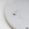 Litet silver hj�rth�nge