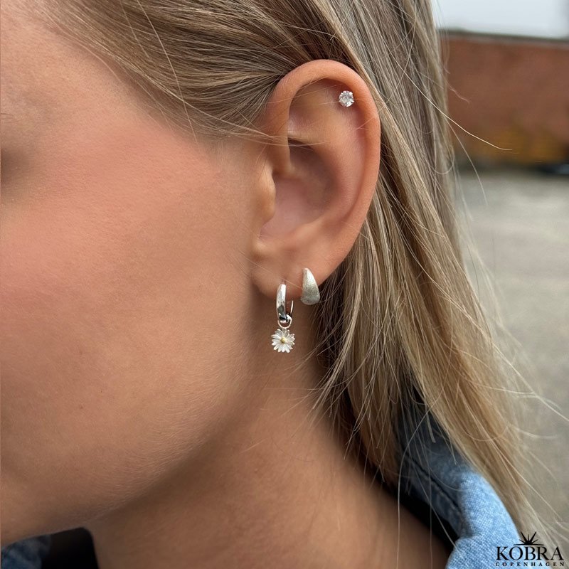 "Palma" sm drbe reringe i slv