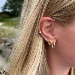 "Isabella" kuglereringe i 14 karat forgyldt