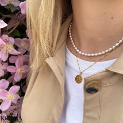 "Blazing star" zodiac necklace in 14 carat gold plated