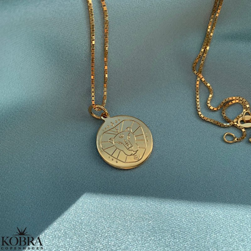 "Blazing star" zodiac necklace in 14 carat gold plated