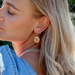 "Mayflower" guld sstjerne reringe med hammerslet amuletter