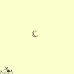 "Raven" lille forgyldt mne 1 stk.