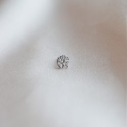 Moon and Star piercing (1 pc)