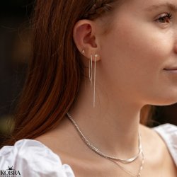 "Sirius" stjerne reringe i slv