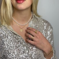  "Hoshi" 18 karat forgyldt stjernetegns ring