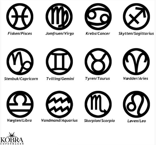 "Hoshi" stjernetegns ring i slv