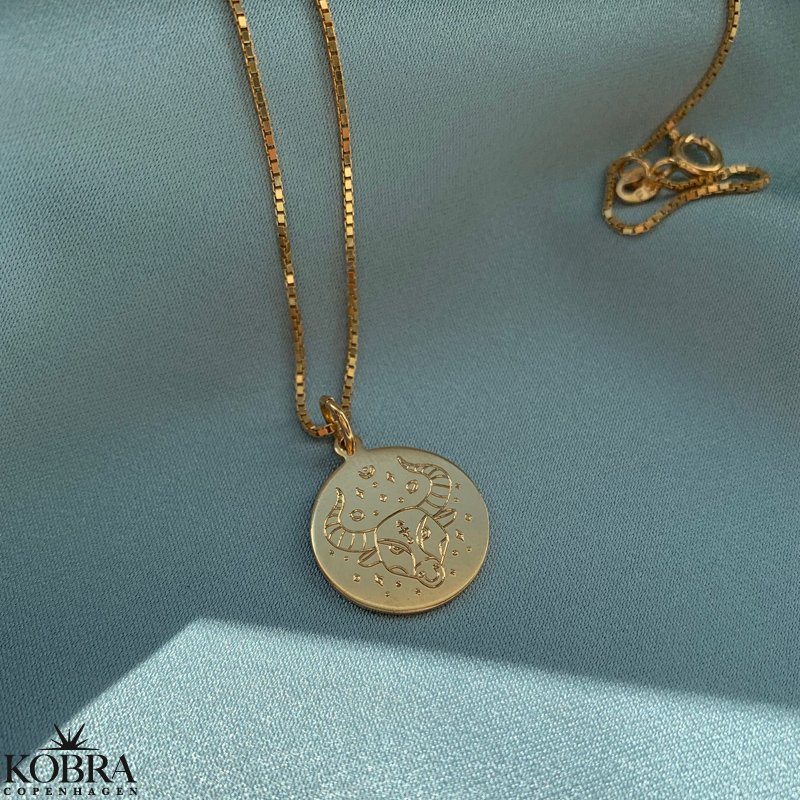 "Blazing star" zodiac necklace in 14 carat gold plated