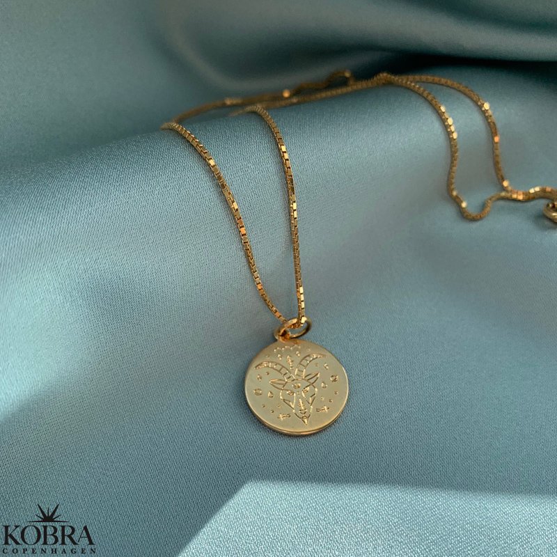 "Blazing star" zodiac necklace in 14 carat gold plated